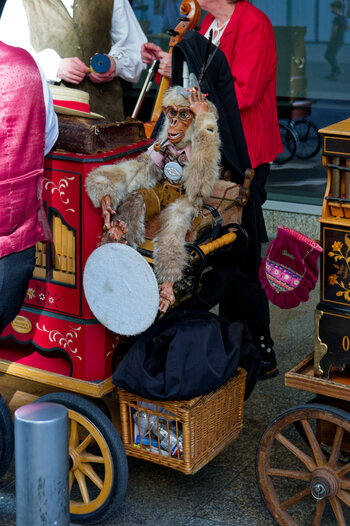 DSC_3322_DxO.jpg