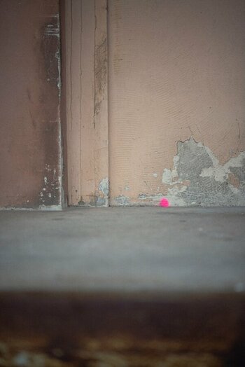 D75_2111.jpeg