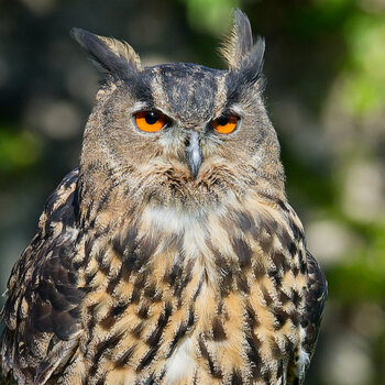 DSC_1270_DxO1_01_DxO1.jpg