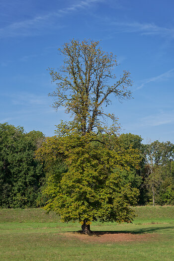 DSC_1267_DxO.jpg