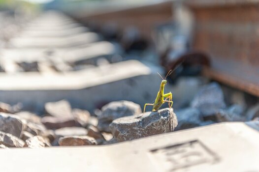 Zossen 2026.10.07_13_57-44.jpg