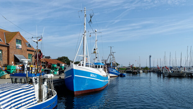 Maasholm_Hafen_2026_DxO.jpg