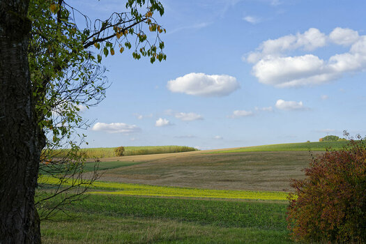 _DSC2023_DxO.jpg