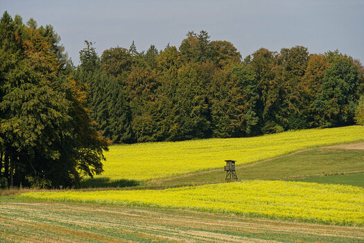 _DSC1994_DxO.jpg