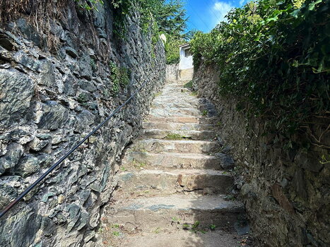 260900_0288_low.jpg 260900_0288_low.jpg
