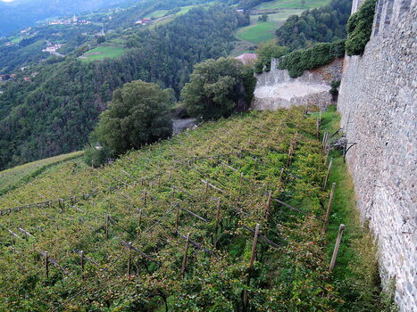 260900_0056_low.jpg 260900_0056_low.jpg