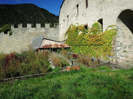 260900_0108_low.jpg 260900_0108_low.jpg