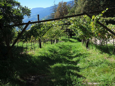 260900_0109_low.jpg 260900_0109_low.jpg