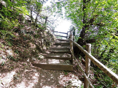 260900_0063_low.jpg 260900_0063_low.jpg