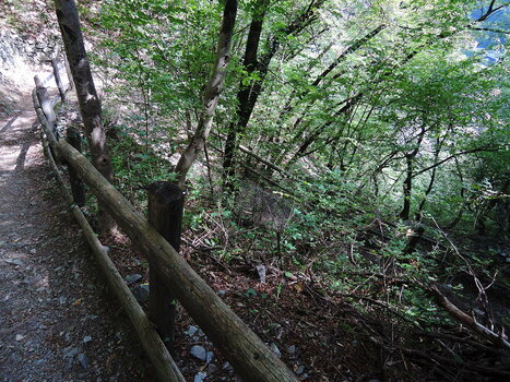 260900_0064_low.jpg 260900_0064_low.jpg