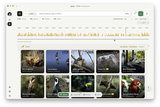Artenübersicht in Specio mit nach Tierarten gruppierten Wildlife-Aufnahmen