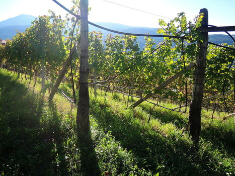 260900_0192_low.jpg 260900_0192_low.jpg