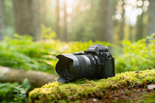 Nikon-Z-Kamera mit TAMRON 16–50mm F2.8 A auf einem moosbewachsenen Baumstamm im Wald. Nikon-Z-Kamera mit TAMRON 16–50mm F2.8 A auf einem moosbewachsenen Baumstamm im Wald.