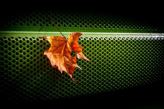 2026-10-13-13-43-29-NIKON D800.jpg