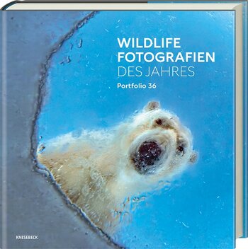 Buchcover „Wildlife Fotografien des Jahres – Portfolio 36“ mit einem Eisbären in einer eisigen Landschaft.