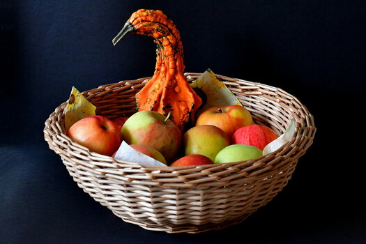 WRUD_Herbst_005.JPG