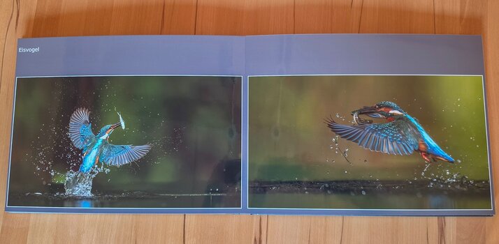 saal-digital-fotobuch-eisvogel-druckqualitaet.jpg