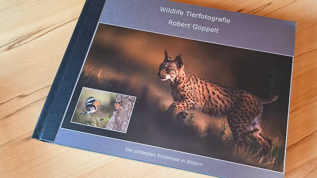 saal-digital-fotobuch-wildlife-alu-cover.jpg saal-digital-fotobuch-wildlife-alu-cover.jpg