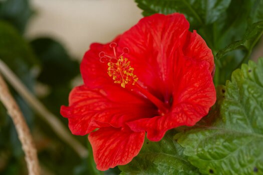 _DSC2153_DxO.jpg