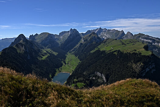 DSC_5269.f.jpg