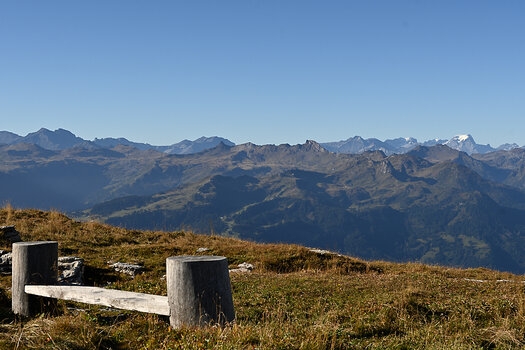 DSC_6296.f.jpg