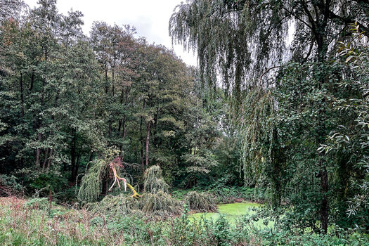 Goosseewiesen_2026_DxO.jpg