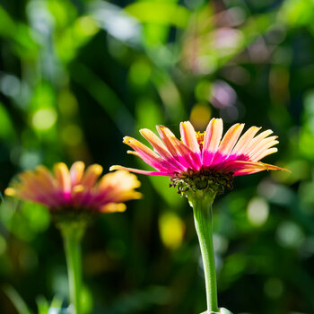 DSC_3723_DxO.jpg