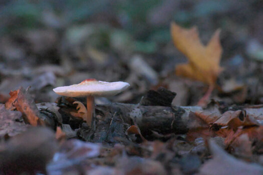 DSC_4172_209.JPG DSC_4172_209.JPG