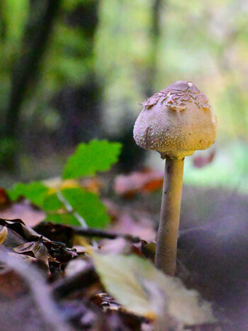 DSC_4159_208.JPG DSC_4159_208.JPG