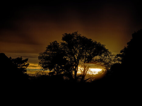 20261022_163659_DSC_2909_DxO_Foren.jpg
