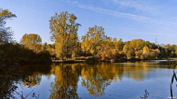 2610_HerbstAmUemmingerSee_0029.jpg