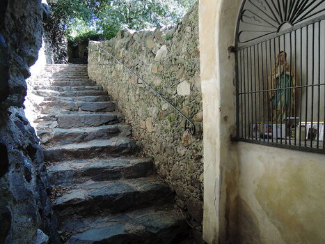 260900_0022_low.jpg