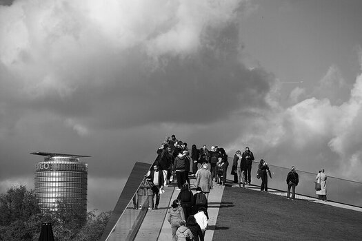 Lemmings_R5C_0959_990px.jpg