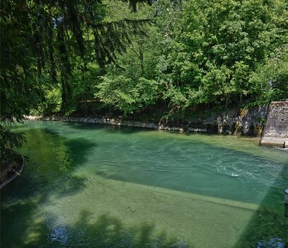 DSC_0285.f.2.jpg