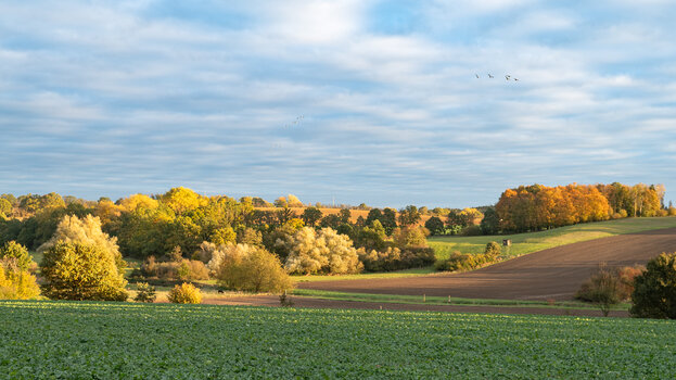 landschaft-8505.jpg