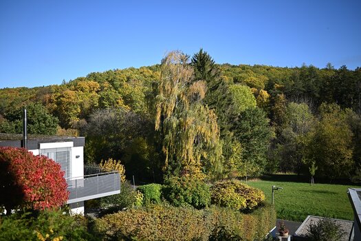 V04.jpg