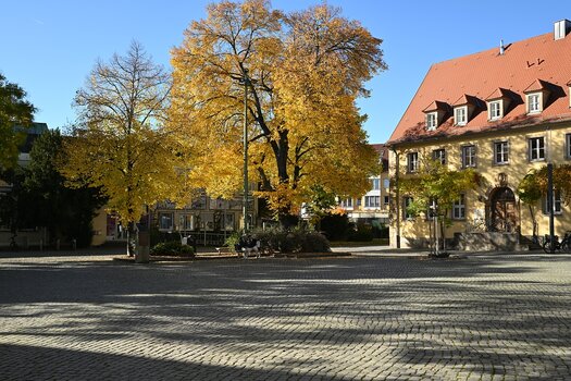 V09.jpg