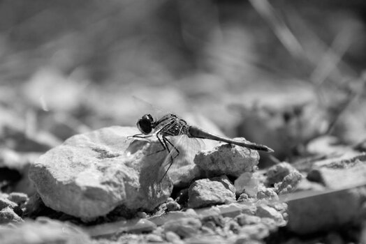 S5-test-4.jpg
