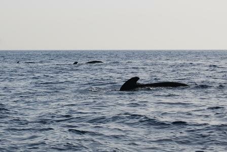 DSC_0215.JPG