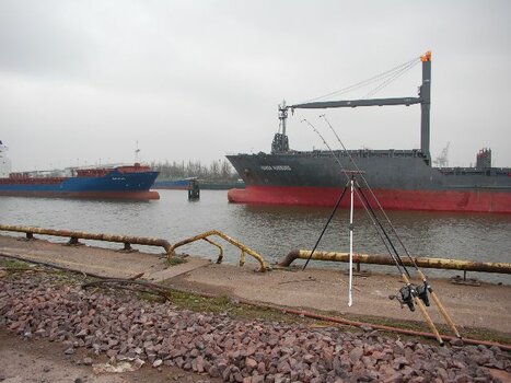 k-DSC_0002.JPG