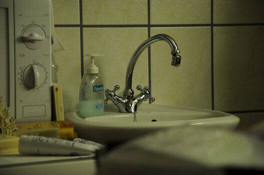 Kopie von DSC_0029.JPG