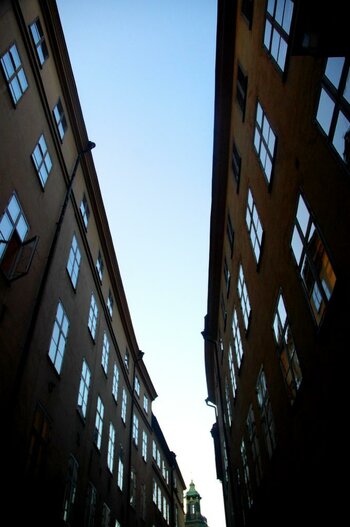 DSC_0038.jpg