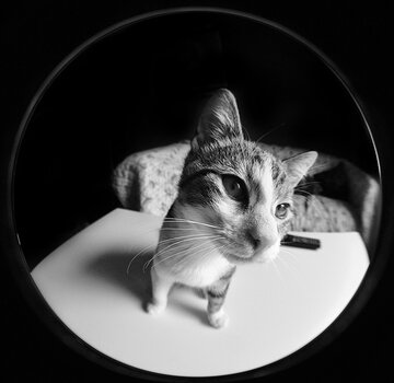 DSC_1669_4.jpg