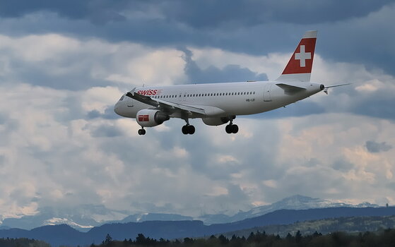 swiss1.jpg