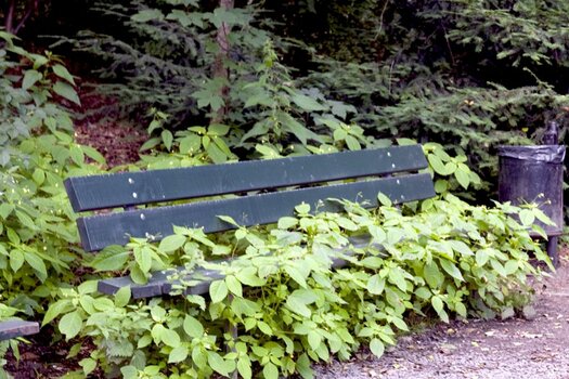 RR2_0086.jpg