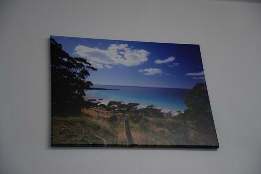 DSC_1031a.jpg