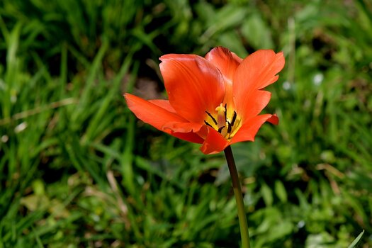WRU_6847.JPG