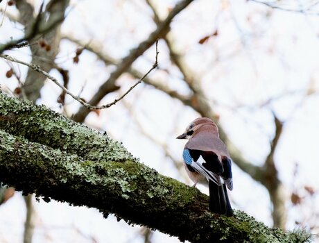 _1210453_DxO-Bearbeitet-1.jpg