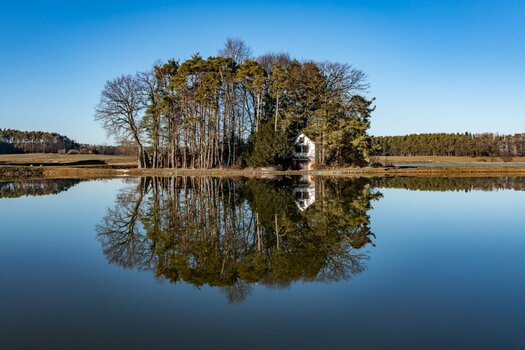 20190215_Natur_2568.jpg