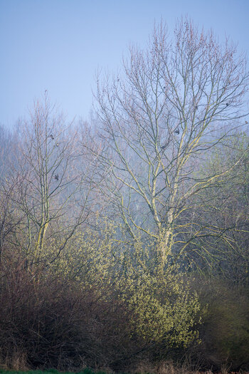 _DSC2021_22_03_2019.jpg